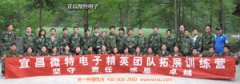 宜昌微特电子精英团队大溪拓展
