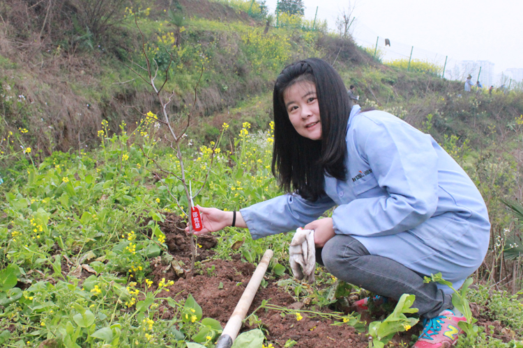 微特电子组织员工及家属参加植树节义务植树活动