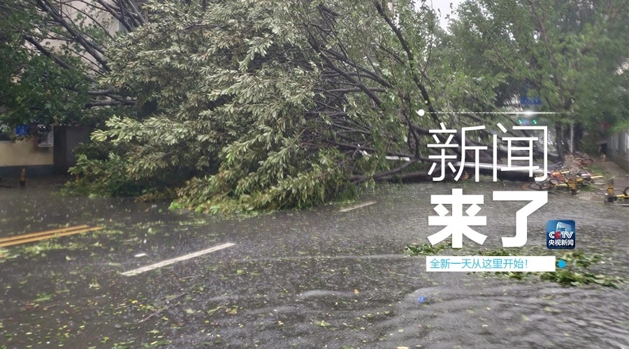 “山竹”怒过，高空塔吊你还好吗？
