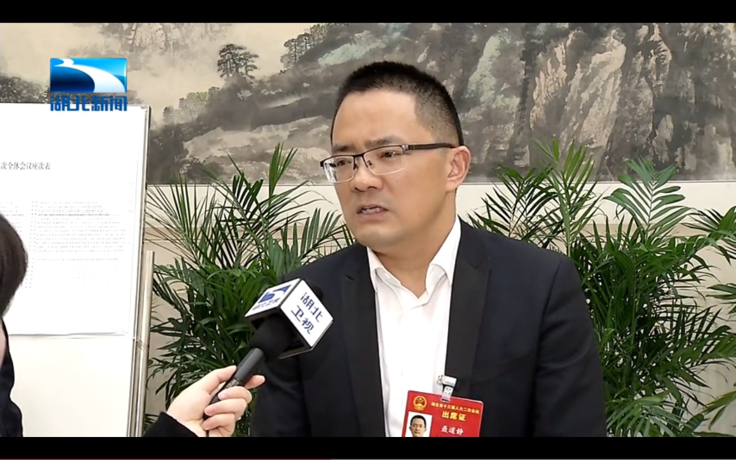 董事长聂道静参加湖北省十三届人大二次会议
