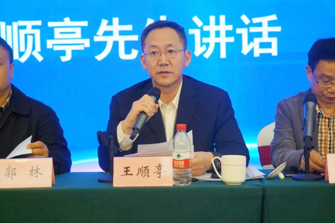 桥式和门式起重机分技术委员会主任委员王顺亭讲话