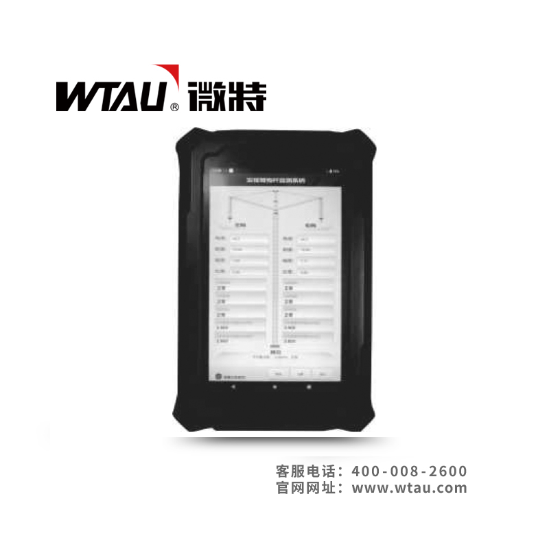 WTL-A170V2抱杆安全监测系统
